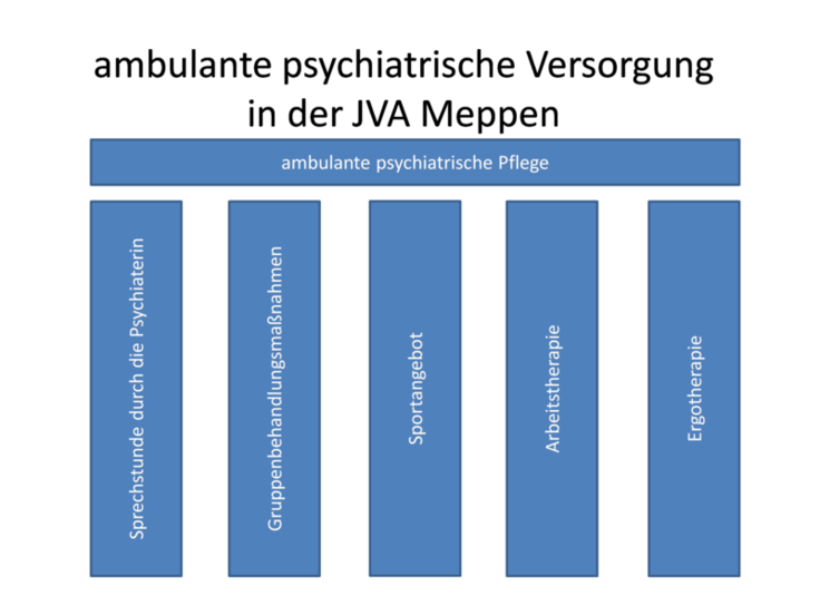 Schaubild (Grafische Darstellung der Zusammensetzung der ambulanten psychiatrischen Versorgung in der JVA Meppen)